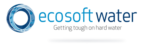 Ecosoft — Evolution portfolio
